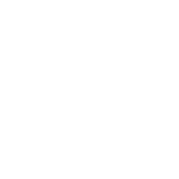 Integración IA