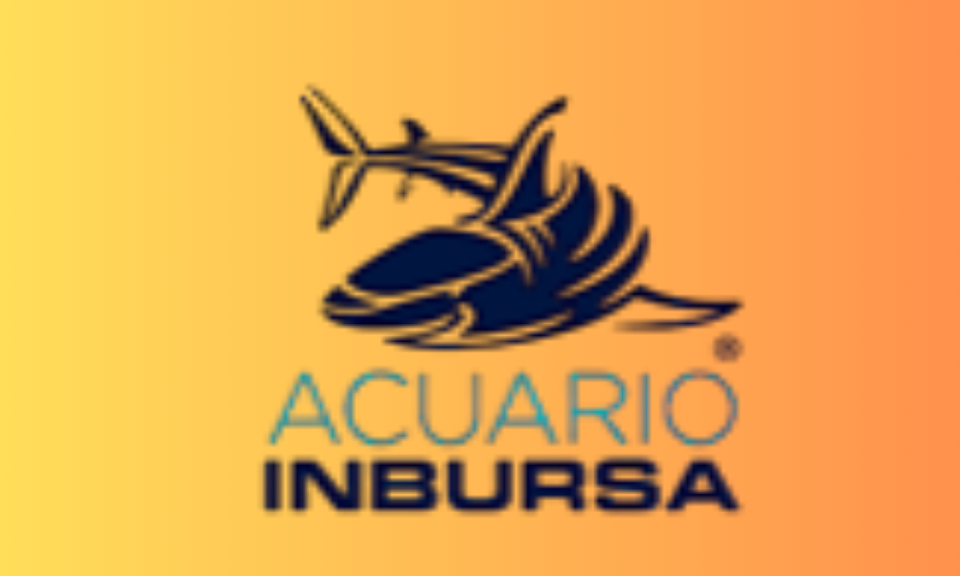 Cliente 15